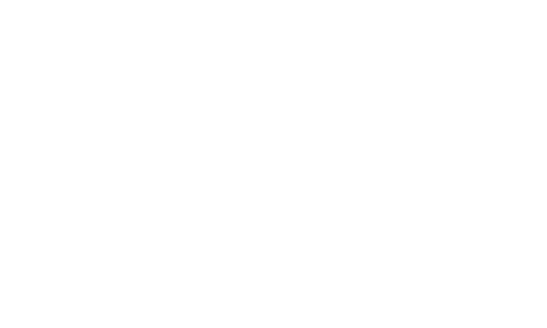 Adult Swim logo