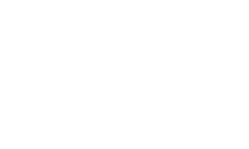 Global News logo