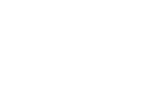 Home Network logo