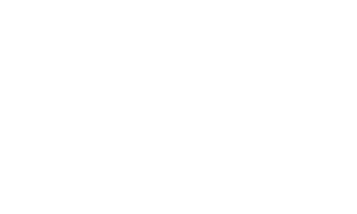 W Network logo